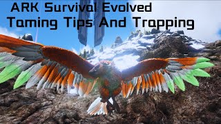 ARGENTAVIS TAMING Tips And TrappingARK Survival Evolved [upl. by Aynot33]