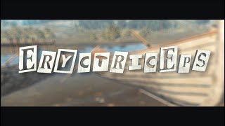 ErycTriceps  H1Z1 Montage [upl. by Fanni730]