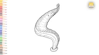 Leech science diagram easy  How to draw A Leech step by step  Science diagram [upl. by Hammock93]