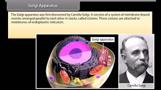 Standard 9 Science The cell organelles II  Quick revision  NCERT  Animation [upl. by Annailuj]