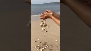 Turning beach treasures into beautiful wall decor—watch the magic of seashells unfold 🌊🌿 Sea [upl. by Adnoraj]