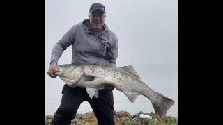 Cape Cod Canal Striped Bass Fishing  Monster Stripah [upl. by Knarf253]