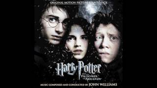 Harry Potter and the Prisoner of Azkaban Score  15  The Patronus Light [upl. by Nahtanha]