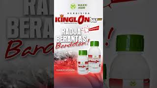 maxxiagri  herbisida KINGLON 667EC Radja Berantas gulma babadotan Bandel tuntas shorts [upl. by Dalohcin]