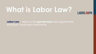 Labor Law Overview 2  Masterclass 2024 [upl. by Otrebilif]