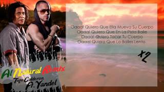 Al Natural Letra  Tego Calderon Y Yandel [upl. by Junna]