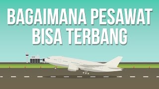 Kenapa Pesawat Bisa Terbang [upl. by Smiley]