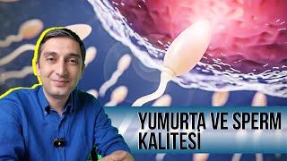 Yumurta ve Sperm Kalitesini Artıran Destekler [upl. by Ahsiened]