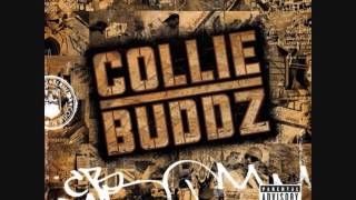 collie buddz Lonely [upl. by Eniawed]