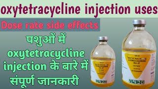 oxytetracycline injection uses पशुओं में ऑक्सीटेटरासाइक्लिन इंजेक्शन के उपयोग vet medicine vet [upl. by Naejarual]