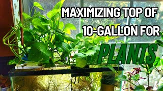 Maximum AboveTank Planting Chopping and Propping my 10 Gallon Tank [upl. by Lubeck169]