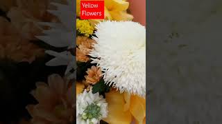 Flowers Asmr satisfying youtubeshorts trending viralvideo shorts short [upl. by Oshinski]