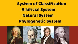 System of Classification  Natural system  Artificial System and Phylogenetic System [upl. by Andrews]