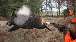 HOG CHARGES HUNTER Blue Roster Hunt Club Hog Hunting in AZ [upl. by Uyr]