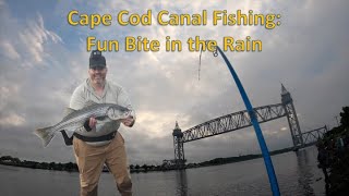 Cape Cod Canal Fishing Fun Bite in the Rain [upl. by Sergio]