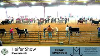 2022 Guadalupe County Youth Show  Cattle Show [upl. by Kristien]