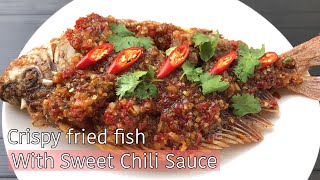 Fried Fish With Sweet Chili Sauce  Crispy Thai Fried Fish With Chili Garlic Sauce  ปลาราดพริก [upl. by Eam]