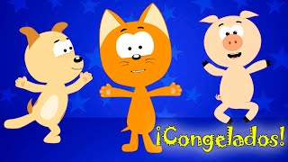 ¡Congelados Aprende a Bailar y Disfrutar con Koté  Canciones infantiles  El gatito Koté [upl. by Ihana]