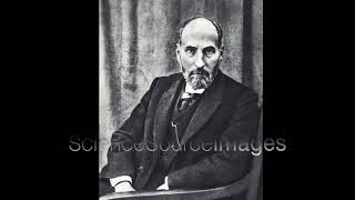 Santiago Ramon y Cajal Neuroscientist [upl. by Slen]