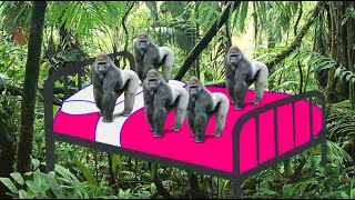 Five Little Gorillas Jumping on the bed Nursery Rhyme Song [upl. by Ferdinanda]