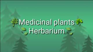 Herbarium of Medicinal Plants of Nepal [upl. by Aicilanna]