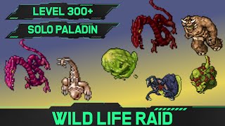 Wild Life Raid  Solo Paladin Hunt 300 [upl. by Lindemann]