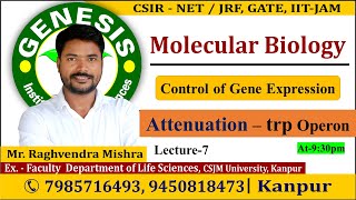 Attenuation  Trp operon  Gene Regulation Lecture7  CSIR NETJRF  Life science [upl. by Nanerb]