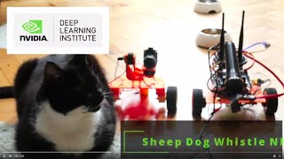 Jetson Nano AI Specialist  Sheepdog Whistle Neural Net [upl. by Chapel]