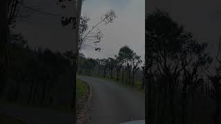 Way to Hungerford in ooty [upl. by Sukhum]