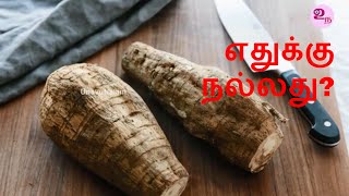 ஆரா ரூட் நன்மைகள்  Arrowroot benefits in Tamil [upl. by Powe]