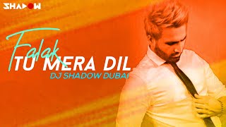 Falak  Tu Mera Dil DJ Shadow Dubai Remix [upl. by Ahseihs]