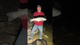 Here Is Seven Fishing At Amazing 11 Mile Reservoir In Lake George Colorado fishing shorts fun [upl. by Wera]