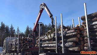 4K Volvo FH Timber Truck Unloading [upl. by Teerell843]