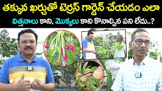 How to Start Terrace Gardening  Terrace Gardening Tips in Telugu  iDream [upl. by Ball]