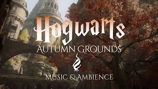 Fall Grounds at Hogwarts  Harry Potter Music and Ambience from Hogwarts Legacy [upl. by Noble]