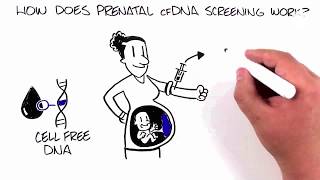 Prenatal Screening Options cfDNA cell free DNA [upl. by Ailene171]