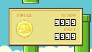 Flappy Bird World Record Professional Gameplay 9999 High Score TROLL VERSION [upl. by Aharon]