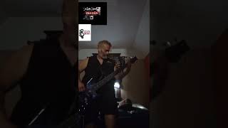 PROPAIN VOICE OF REBELLION  BASS COVER  736  propain bassscover [upl. by Ztnahc]