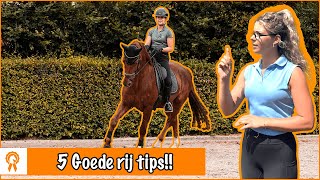 Wat te DOEN als je paard SCHRIKT  PaardenpraatTV [upl. by Chastity]