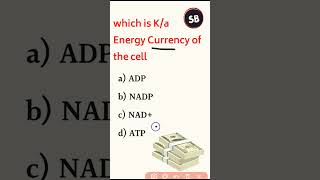 ATP The Energy currency shorts facts biology [upl. by Katzen]