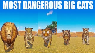 Most Dangerous Big Cats Speed Race in Planet Zoo included Lion Jaguar Tiger Cougar Leopard [upl. by Mayeda674]