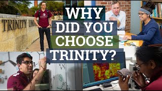 Why Did You Choose Trinity University [upl. by Htebazileyram]