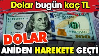 Dolar aniden harekete geçti Bugün dolar kaç TL [upl. by Renaud333]