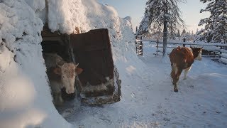 Yakutia Maldzhagar ENG SUB [upl. by Niggem952]