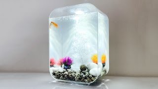 My Aquarium  biOrb Life Limited Edition Aquarium 15 Litre [upl. by Ranger]