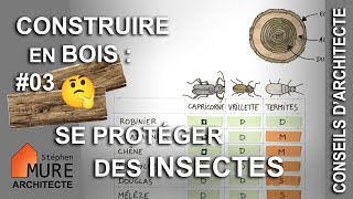 Capricorne Vrillette Termites  protéger le bois des insectes les classes de durabilité [upl. by Yelyab]