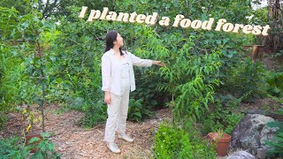 From lawn to permaculture food forest  how I transformed my backyard in 5 months [upl. by Agnola]