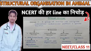 Structural organisation in animals class 11 one shot  Neet biology [upl. by Abbie]