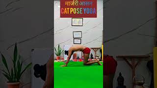 benefits of marjariasana ll मार्जरी आसन के क्या फायदे हैं india nepal goa uk usa osho viral [upl. by Wolsniw]