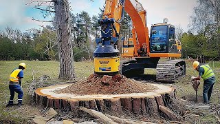 Amazing Biggest Stump Removal Excavator At Another Level Incredible Stump Removal Grinding Machine [upl. by Zwiebel]